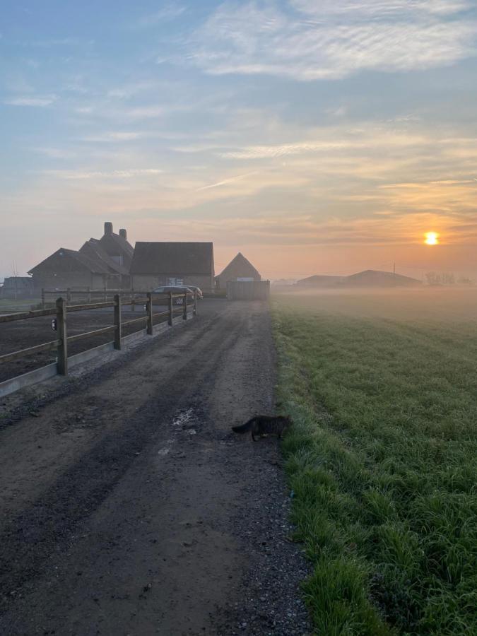 B&B 'T Hoveke Wingene Exteriér fotografie